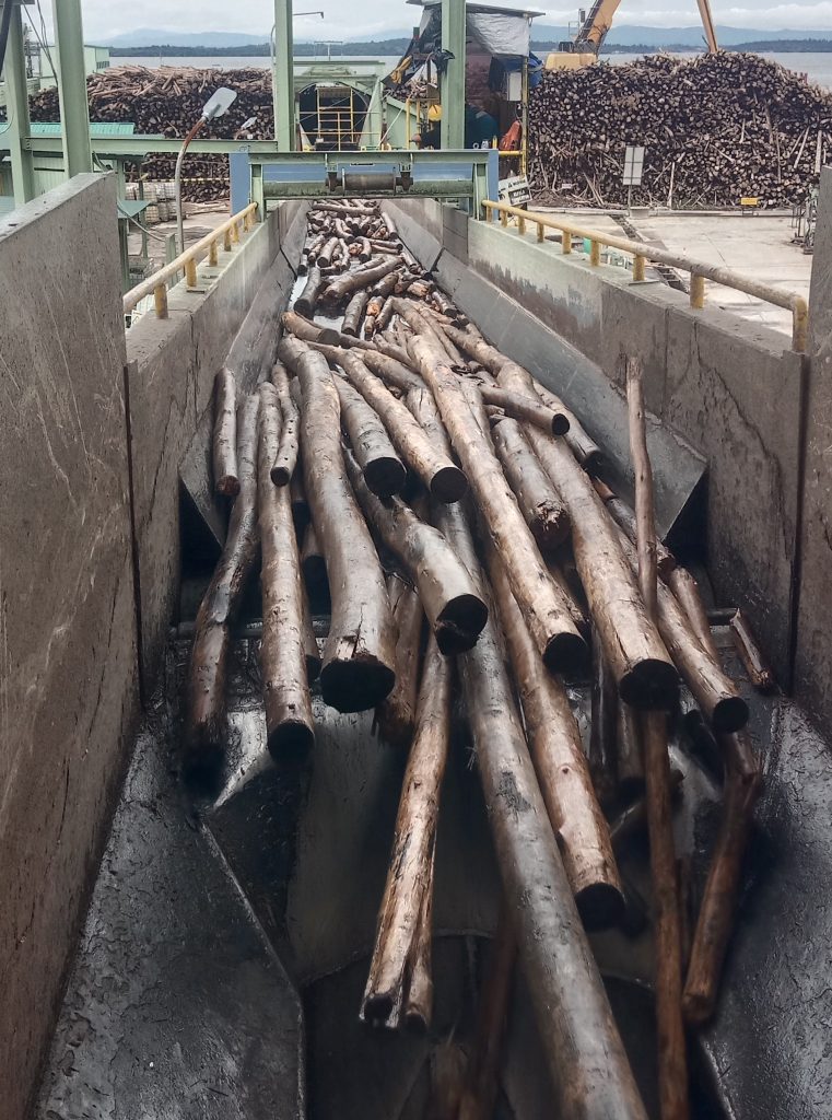 log chipping