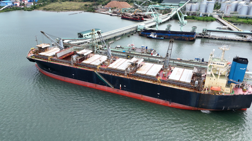 chip export