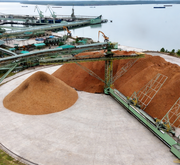 wood chip stack balikpapan chip lestari